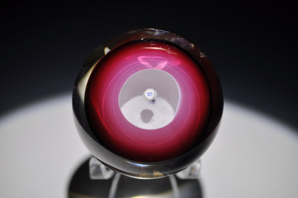 Perthshire 1980 Floral Paperweight