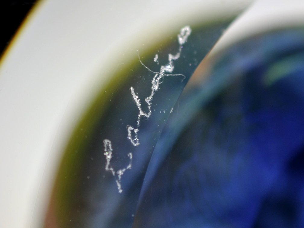 Dominick Labino 1973 Floral Paperweight