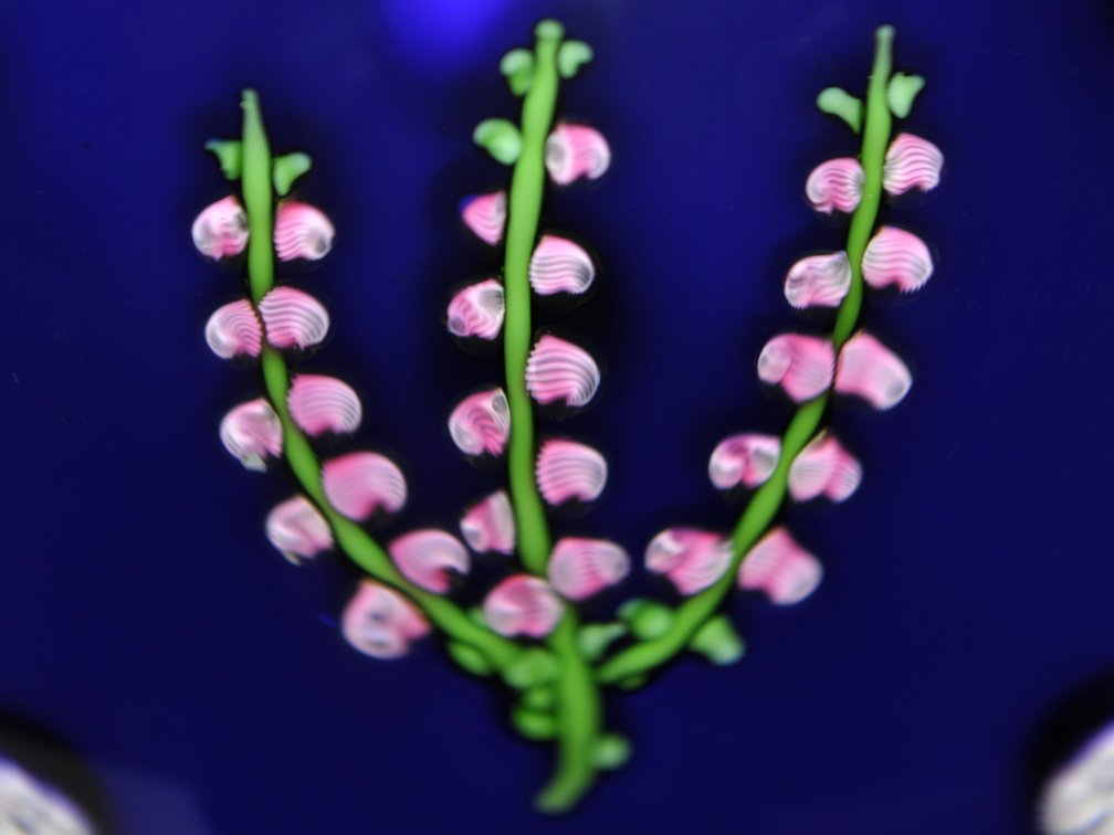 Perthshire 1978 Scottish Heather Sprig
