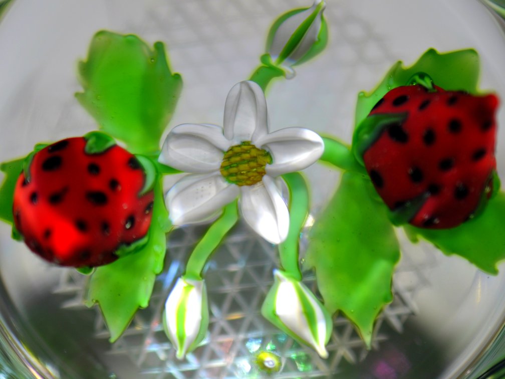 Perthshire 1986 Strawberry Paperweight