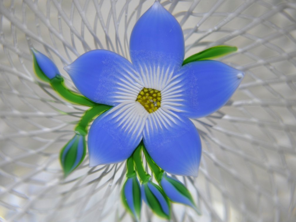 Perthshire 1997 Floral Latticinio Weight