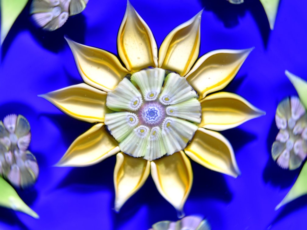 Perthshire 1980 Floral Paperweight