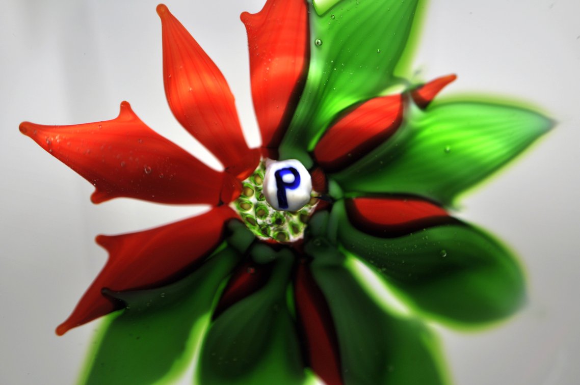 Perthshire 1976 Poinsettia Weight