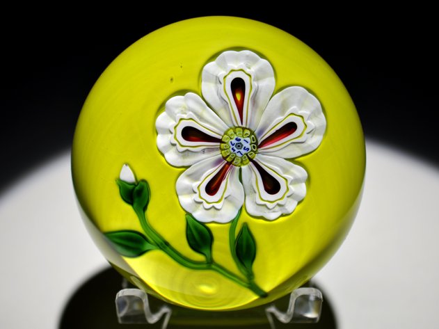 St. Louis 1973 White Lampwork Blossom