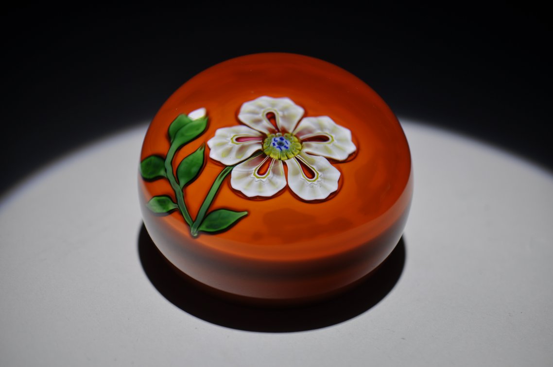St. Louis 1973 Floral Weight