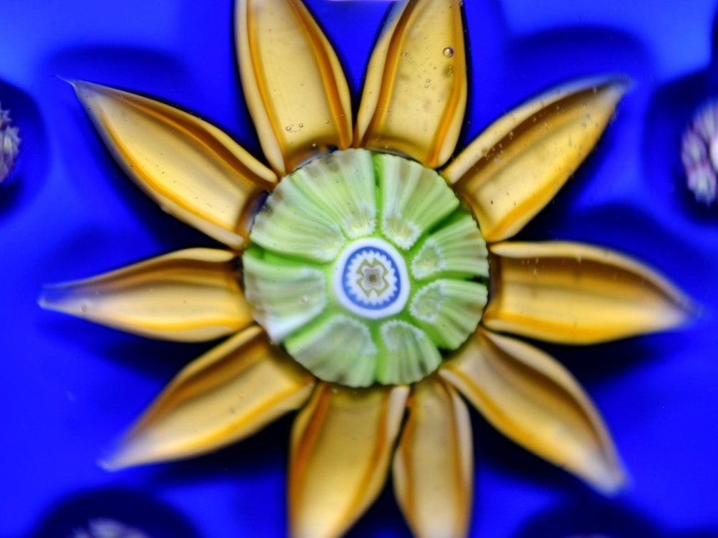 Perthshire 1979 Sunflower Lampwork