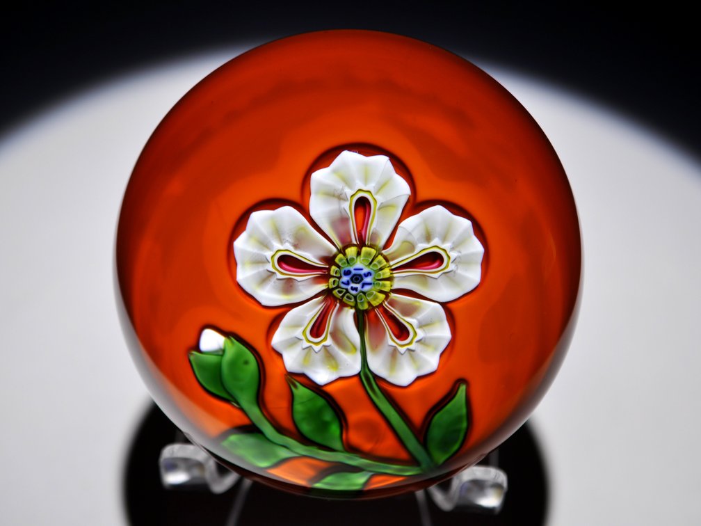 St. Louis 1973 Floral Weight