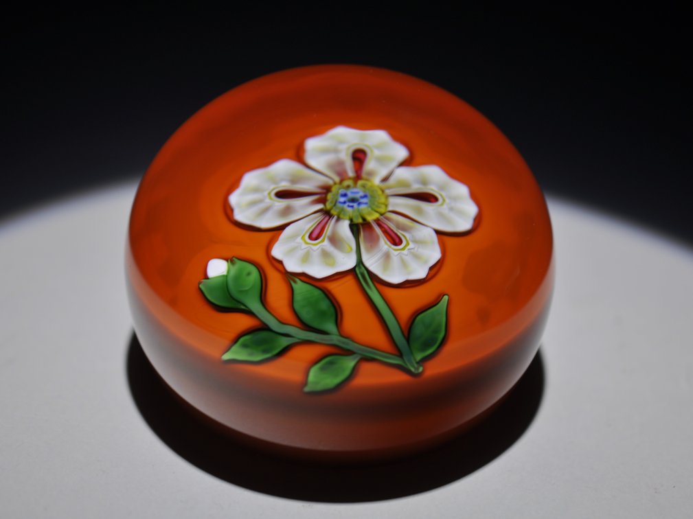 St. Louis 1973 Floral Weight