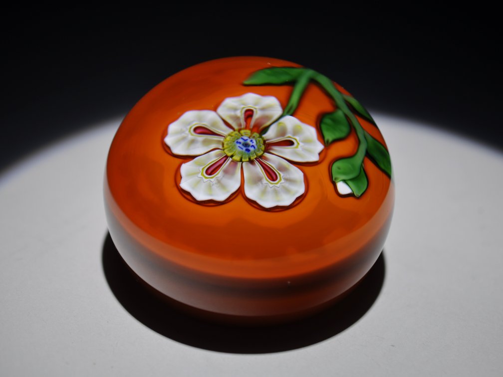 St. Louis 1973 Floral Weight