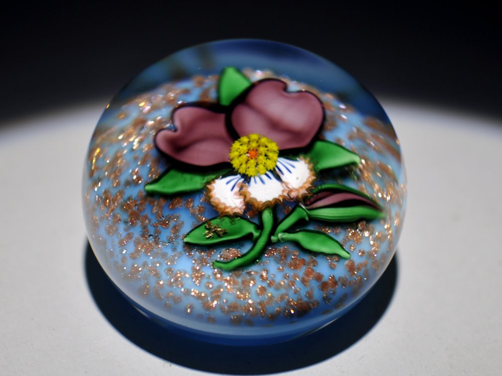 Charles Kaziun Lampwork Weight
