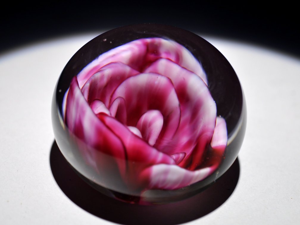 Crimp Rose Swirl Glass Weight