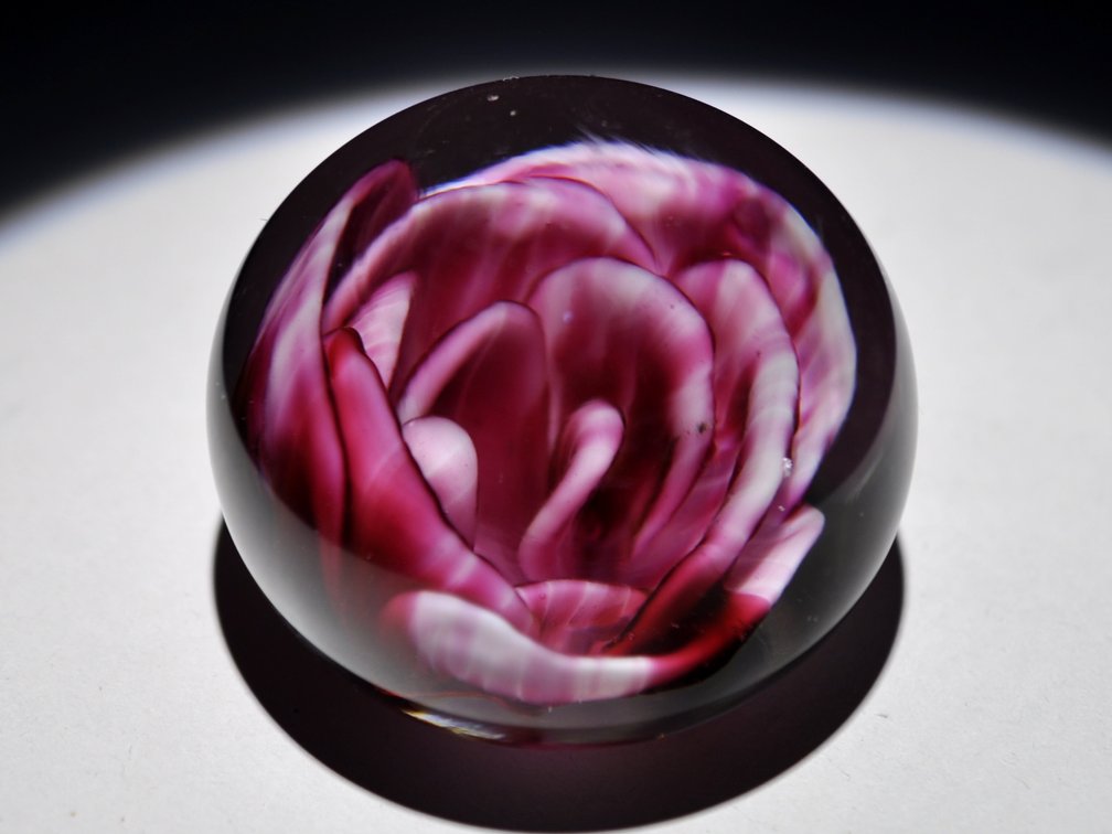 Crimp Rose Swirl Glass Weight