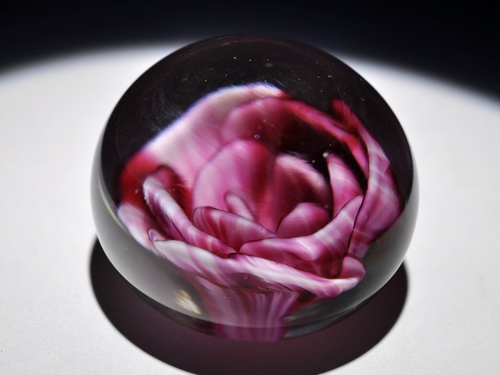 Crimp Rose Swirl Glass Weight