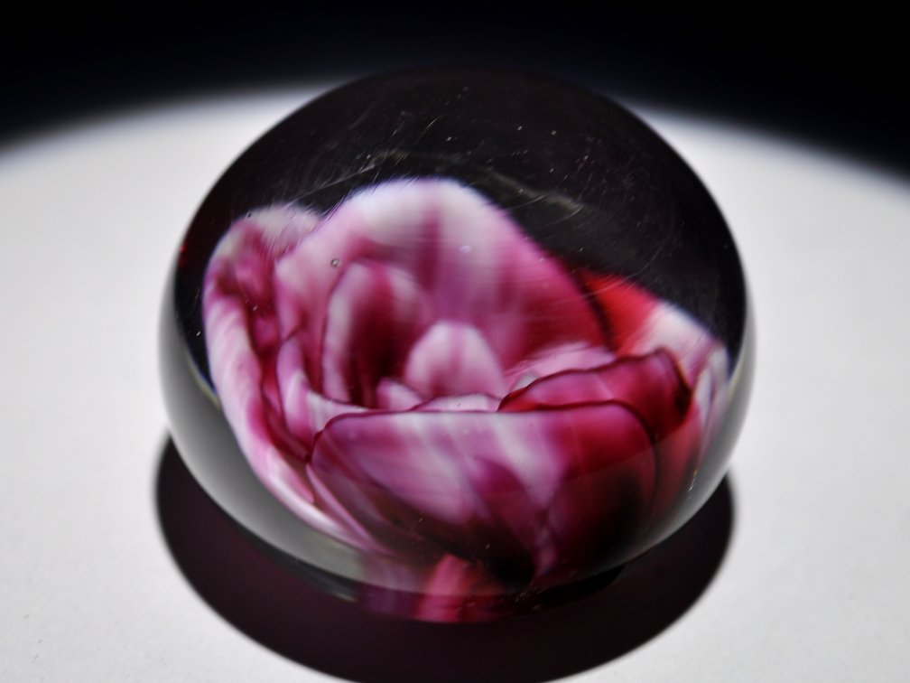 Crimp Rose Swirl Glass Weight