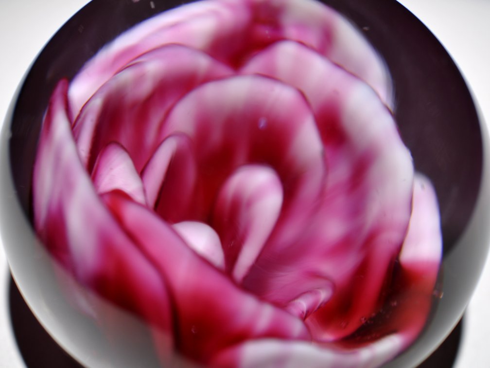 Crimp Rose Swirl Glass Weight