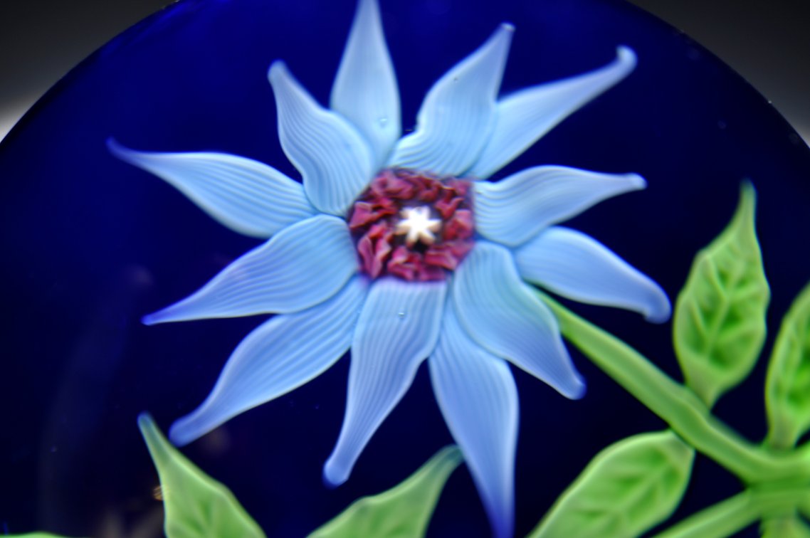 Baccarat 1970 Blue Floral Weight