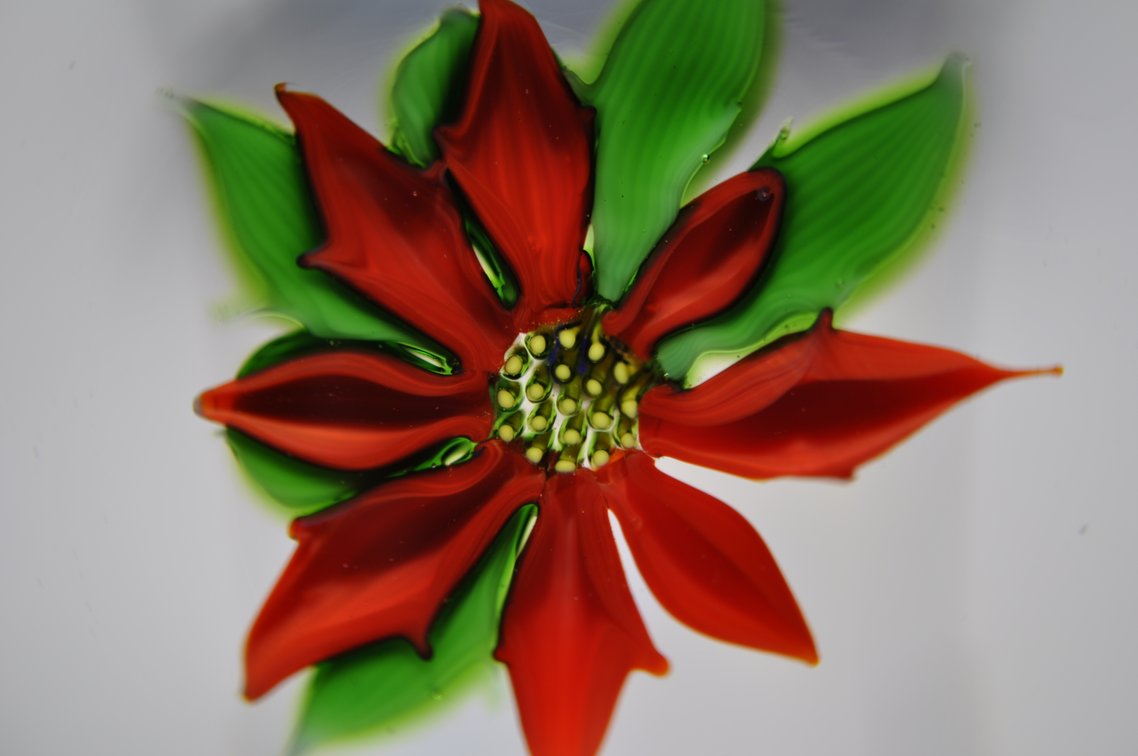 Perthshire Poinsettia Paperweight