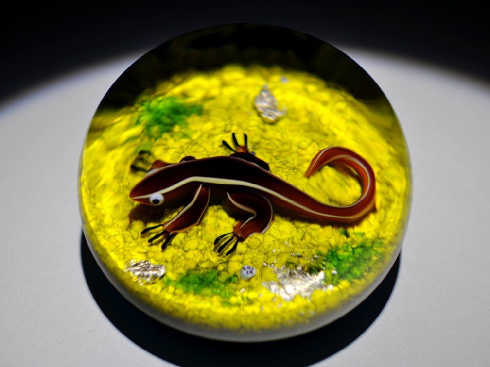 Baccarat 1973 Salamander LE