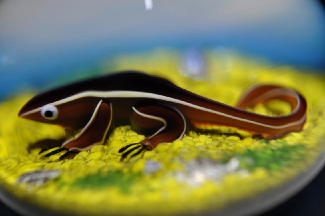 Baccarat 1973 Salamander LE