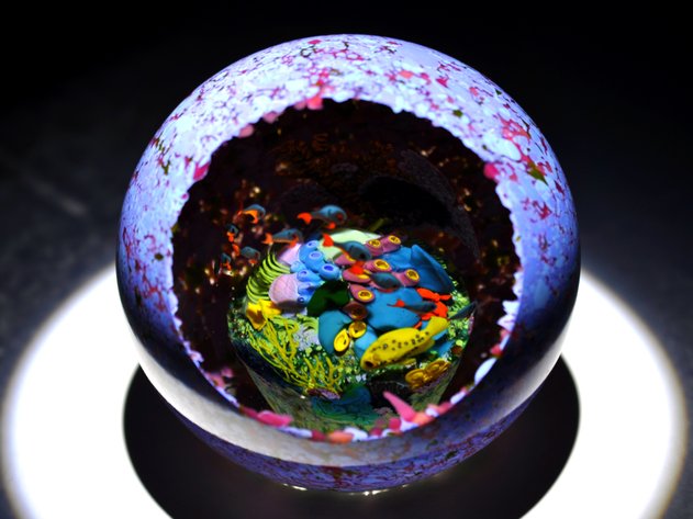 Heilman Roessler Coral Cave Paperweight