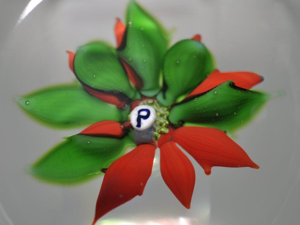 Perthshire Poinsettia Paperweight