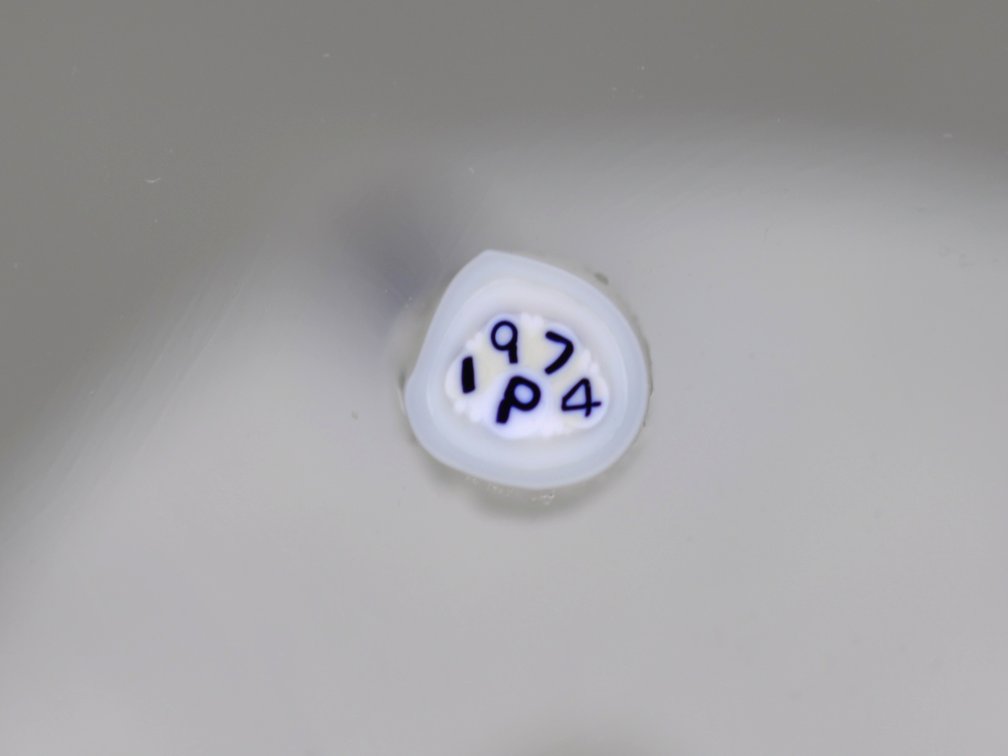 1974 Perthshire Millefiori Paperweight