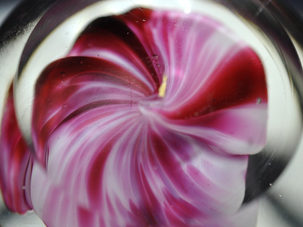 Crimp Rose Swirl Glass Weight
