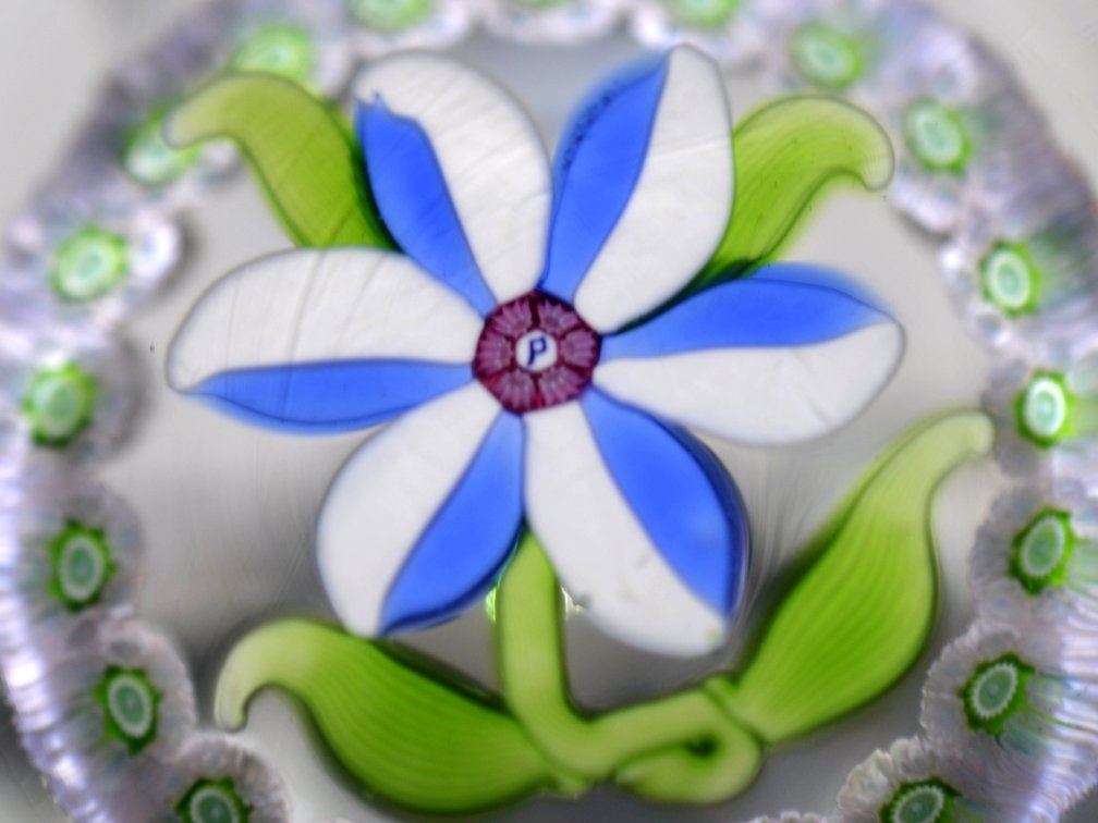 Perthshire 1976c Miniature Flower Weight