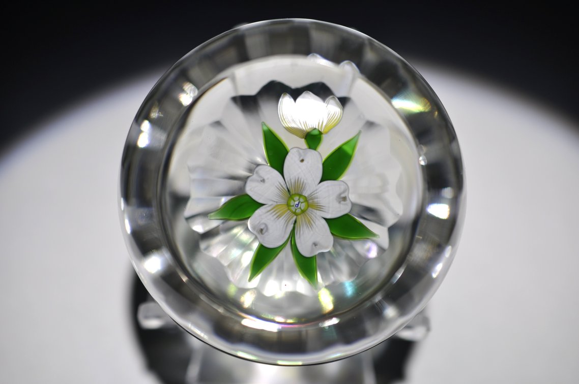 Perthshire Dogwood Lampwork