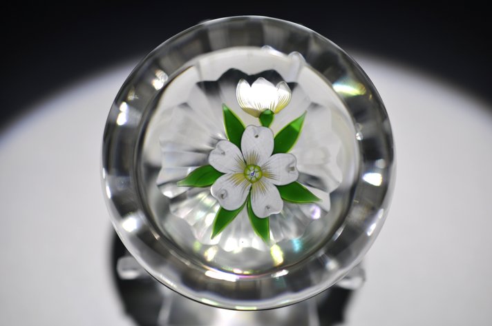 Perthshire Dogwood Lampwork