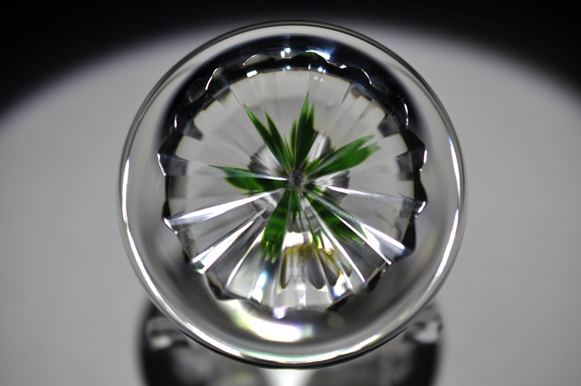 Perthshire Dogwood Lampwork