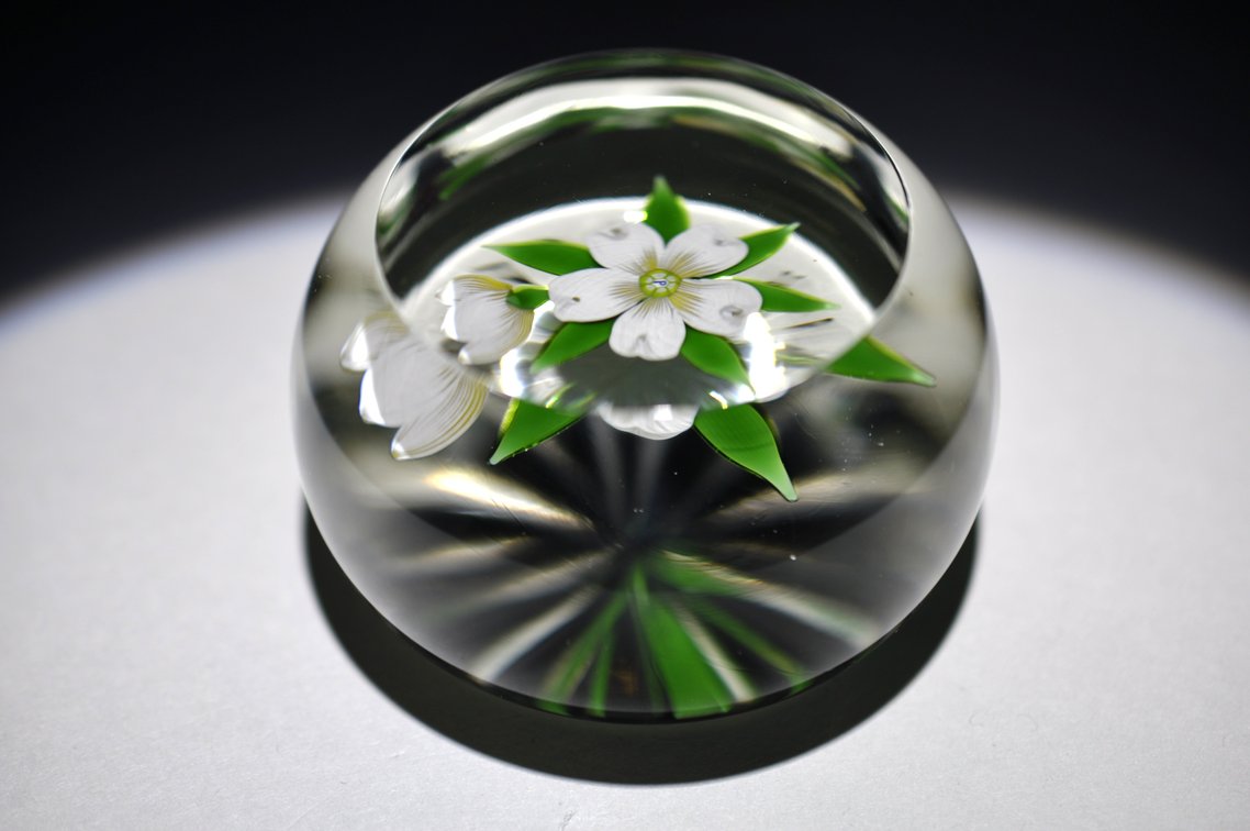 Perthshire Dogwood Lampwork