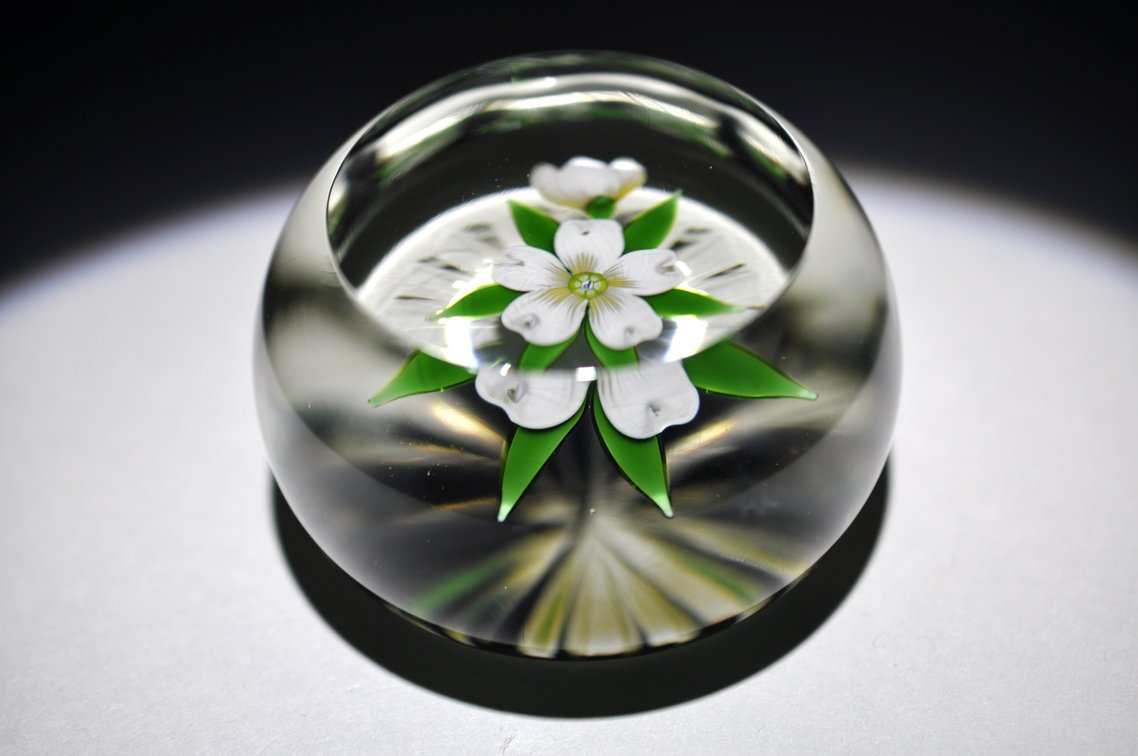 Perthshire Dogwood Lampwork