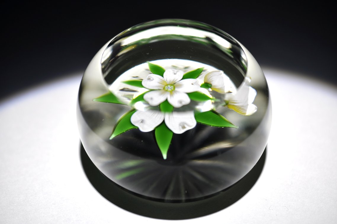 Perthshire Dogwood Lampwork