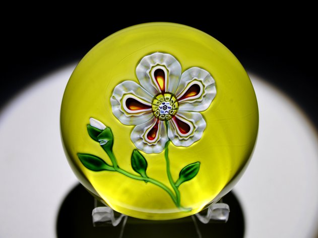 St. Louis 1973 Floral Weight
