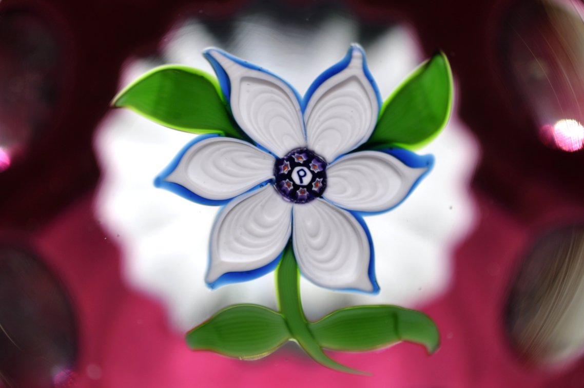 Perthshire Lampwork Flower Overlay