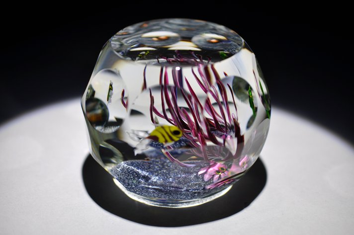 Perthshire Lampwork Aquarium Weight