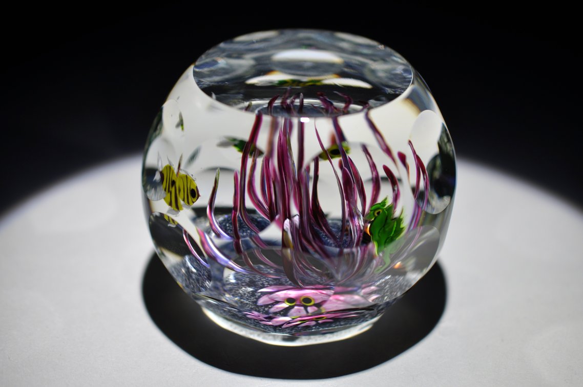 Perthshire Lampwork Aquarium Weight