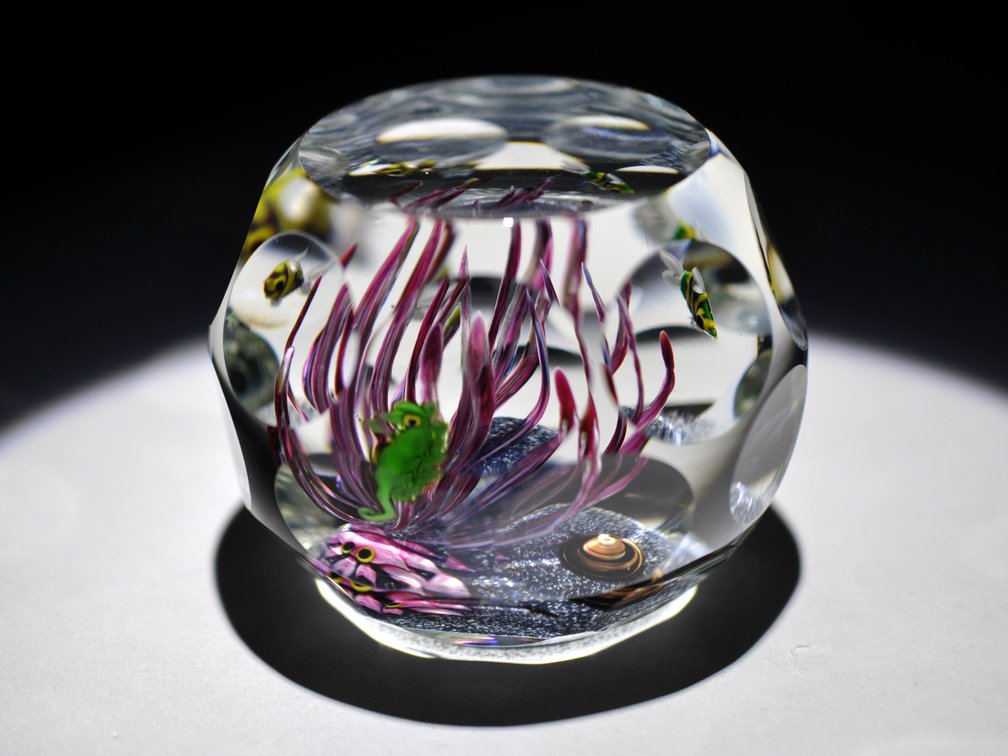 Perthshire Lampwork Aquarium Weight