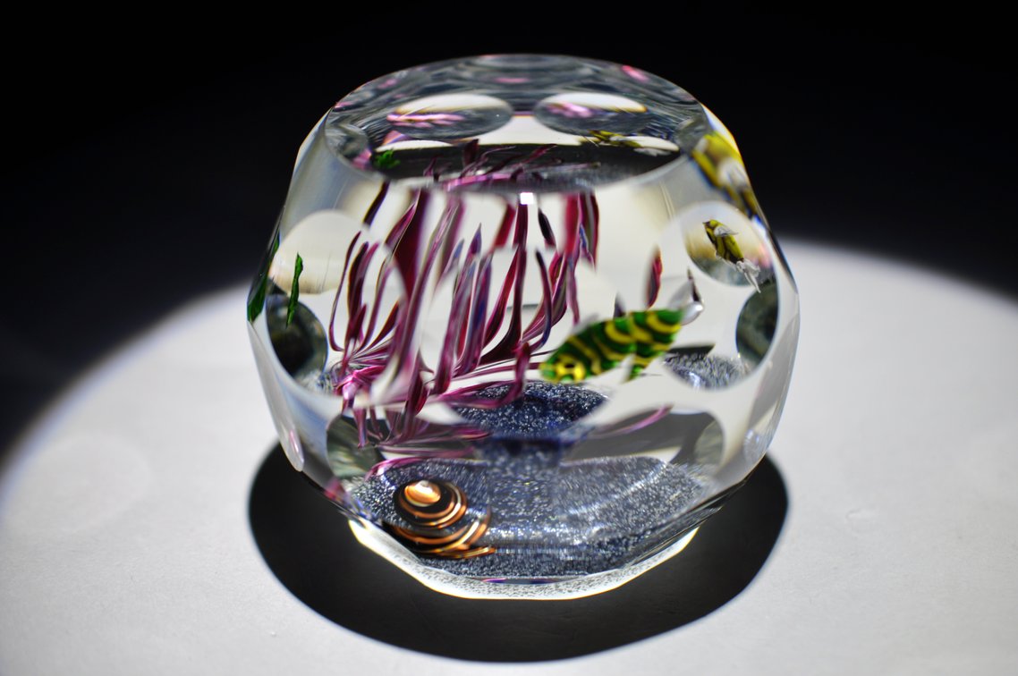 Perthshire Lampwork Aquarium Weight