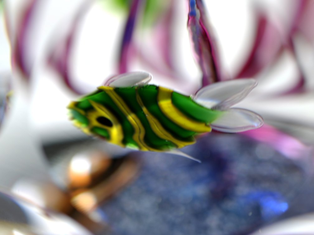 Perthshire Lampwork Aquarium Weight