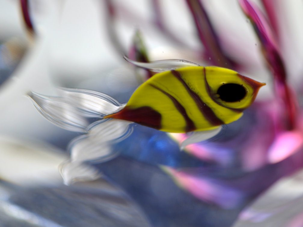 Perthshire Lampwork Aquarium Weight