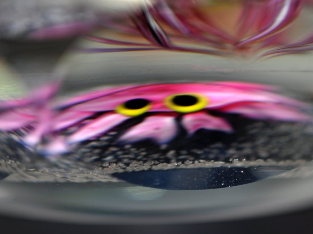Perthshire Lampwork Aquarium Weight