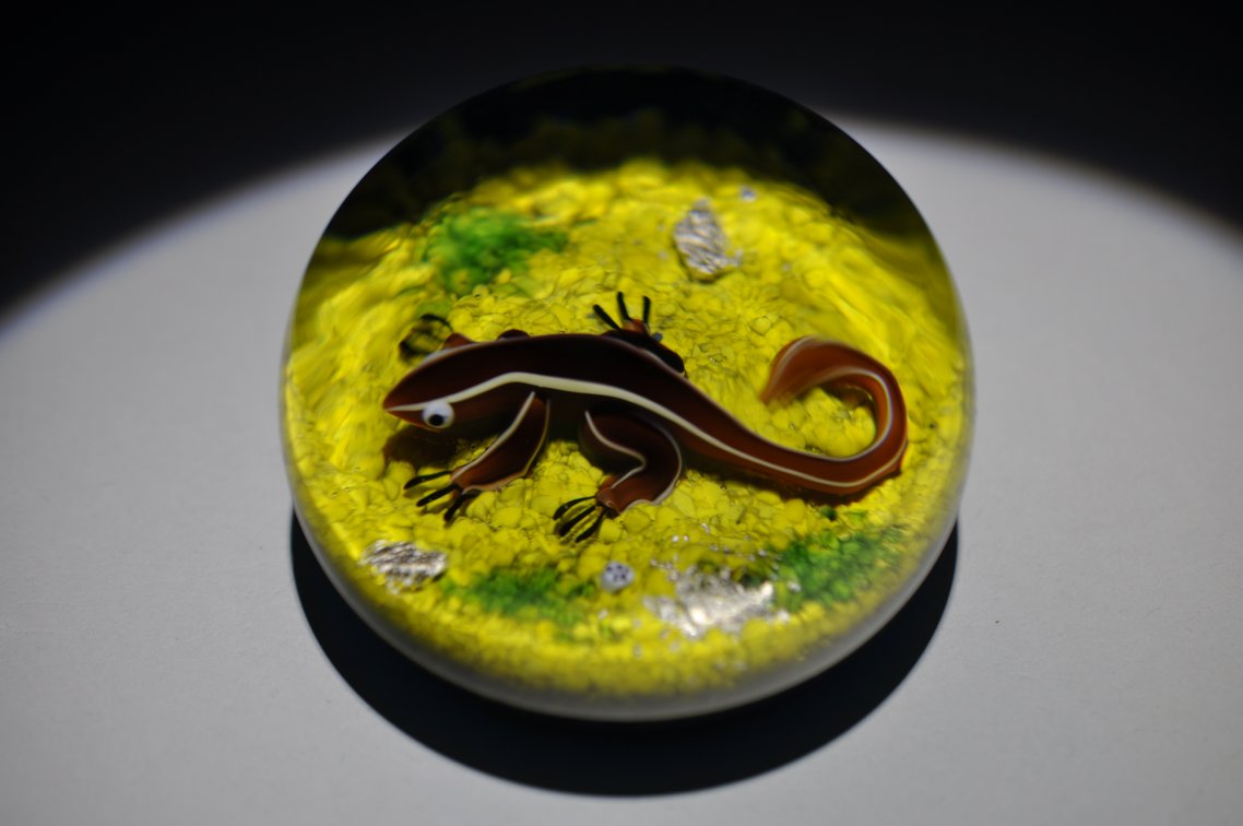 Baccarat 1973 Salamander LE