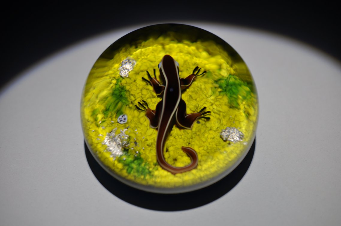 Baccarat 1973 Salamander LE