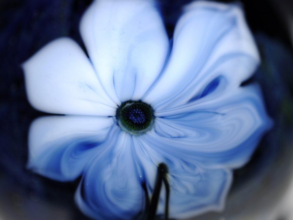 Josh Simpson Shimmering Flower Paperweight
