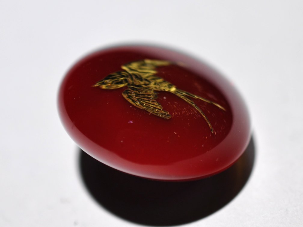 Red Domed Glass Bird Shank Button