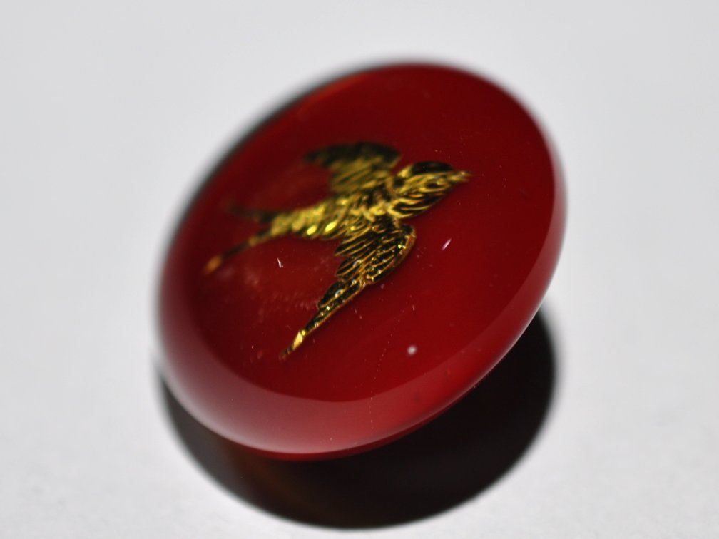 Red Domed Glass Bird Shank Button