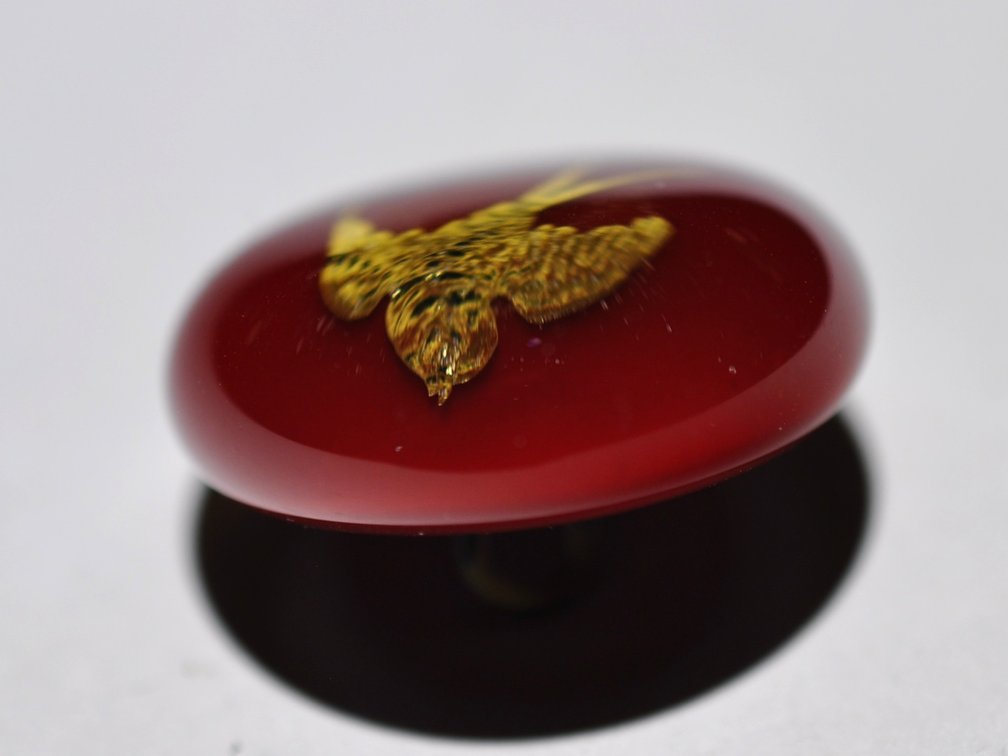 Red Domed Glass Bird Shank Button