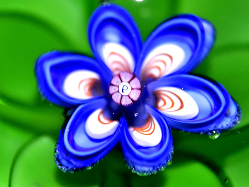 1980 Perthshire Lampwork Flower